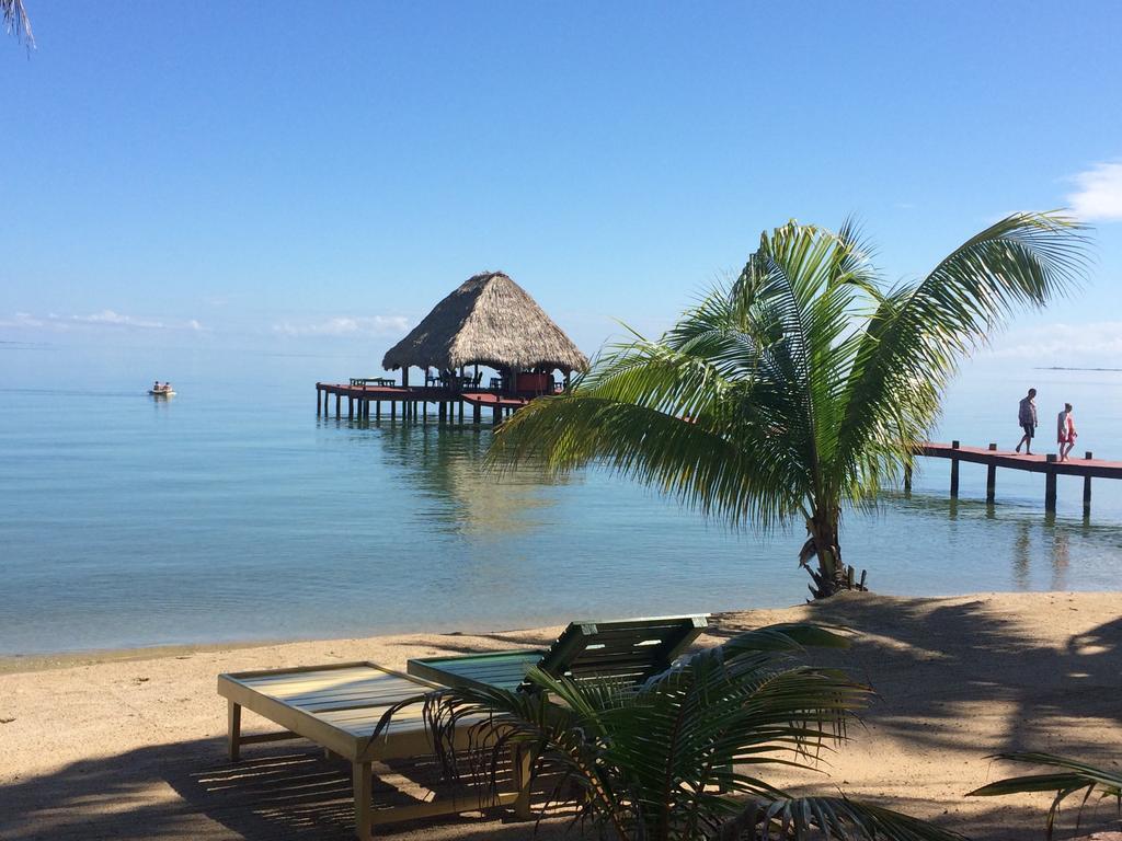 Robert'S Grove Beach Resort Placencia Exteriör bild